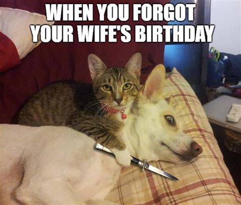 23 Awesome Happy Birthday Wife Meme - Birthday Meme