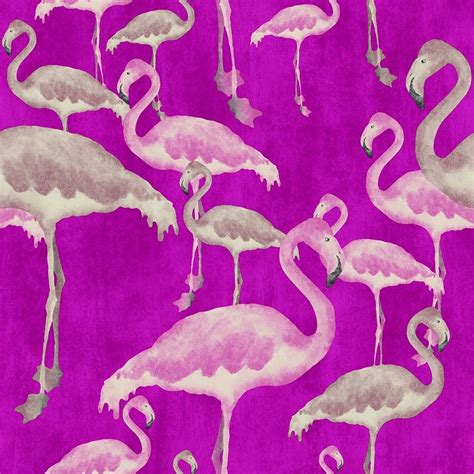 Pink Flamingo Wallpapers - 4k, HD Pink Flamingo Backgrounds on WallpaperBat