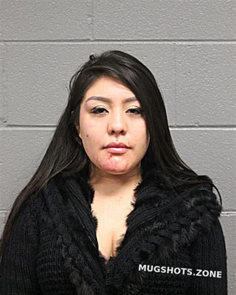 ALYSSA CRUZ 06 11 2023 Chicago Mugshots Zone