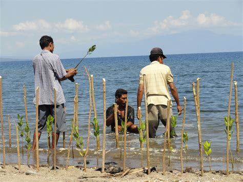 Konservasi Lahan Basah Pesisir Wetlands International Indonesia