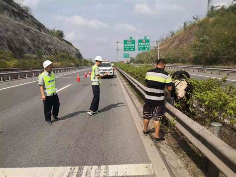 大邻高速哈大高速大永高速大山谷图库