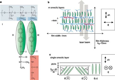 Schematic Illustrations Of An Electrically Activated Lce A Chemical