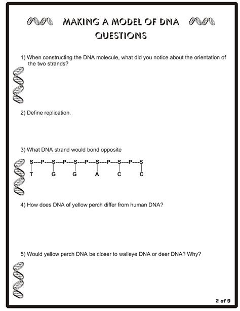 Dna Structure Worksheet Answer Key English Worksheet