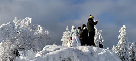 Koli National Park | Koli