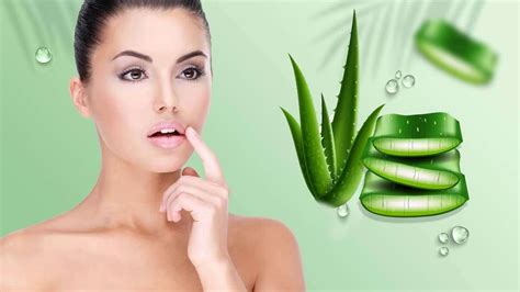 Aloe Vera For Lips অ্যালোভেরার গুণেই ঠোঁট হবে নরম মসৃণ ব্যবহার করবেন