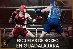 Las Mejores Escuelas de Boxeo Cerca de tu Ubicación