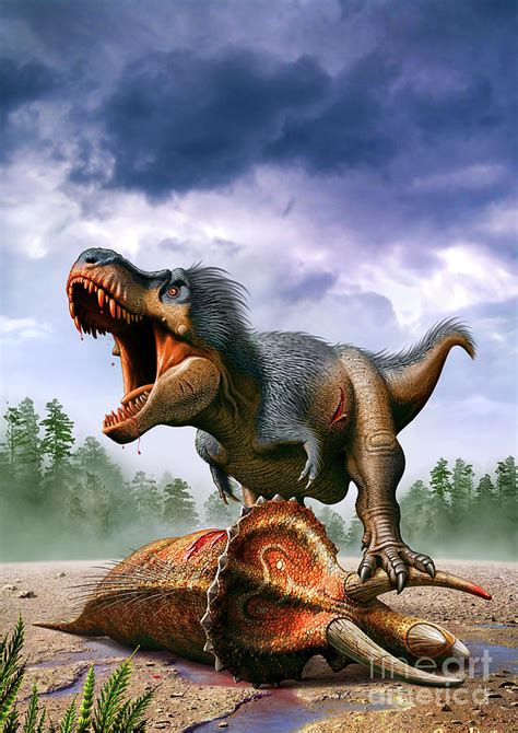 Tyrannosaurus Rex vs. Triceratops Digital Art by Mohamad Haghani - Fine ...