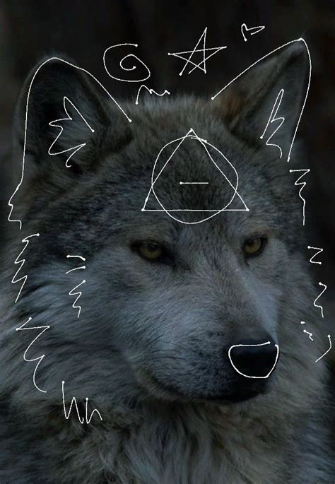 grey wolf therian ☆ | Wolf, Grey wolf, Pretty dogs