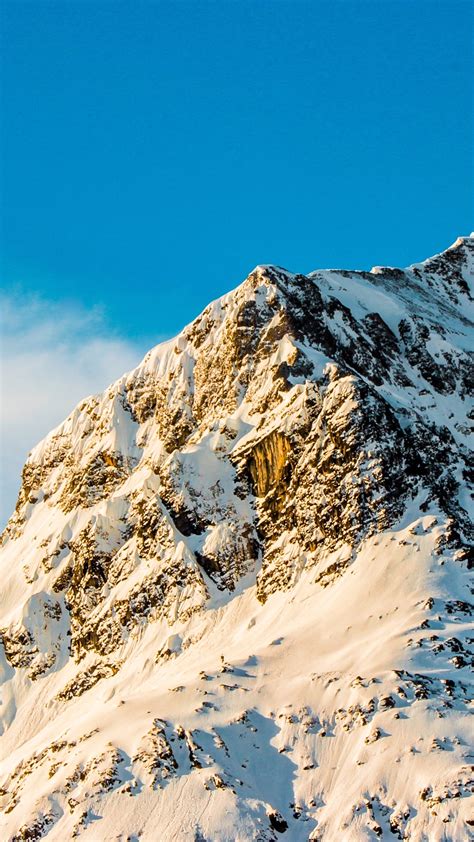 1080x1920雪景手机壁纸 中关村在线手机壁纸