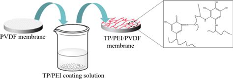 Preparation Process Of Tppeipvdf Modified Membrane Download Scientific Diagram