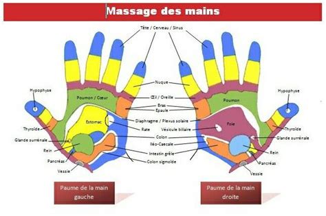 Pin On énergies Et Spiritualité Reflexology Chart Hand Reflexology Reflexology Hand Chart