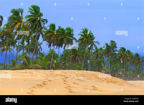 La Tempête Tropicale à L Azuretti Plage à Grand Bassam Côte D Ivoire Ivory Coast En Afrique