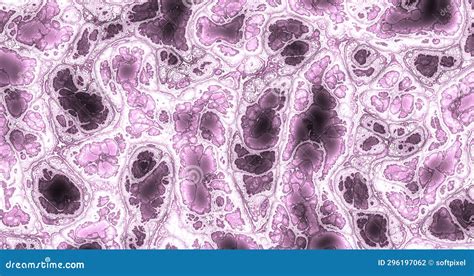 medical microscopic tissue sample  isolated cells stock photo