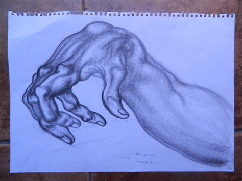 Hand/Arm Drawing by thesosastudio on DeviantArt