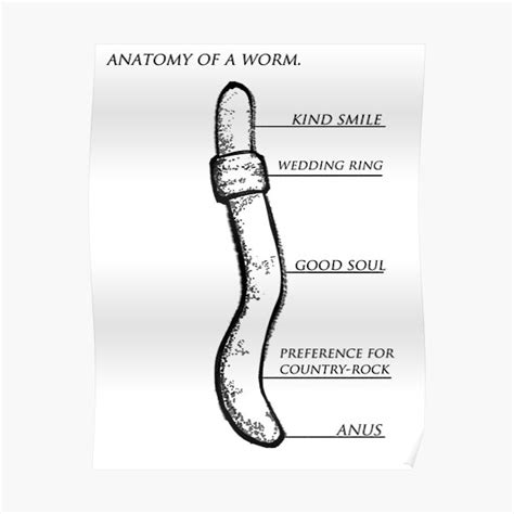 "Worm Anatomy Chart" Poster for Sale by ebenaceae | Redbubble