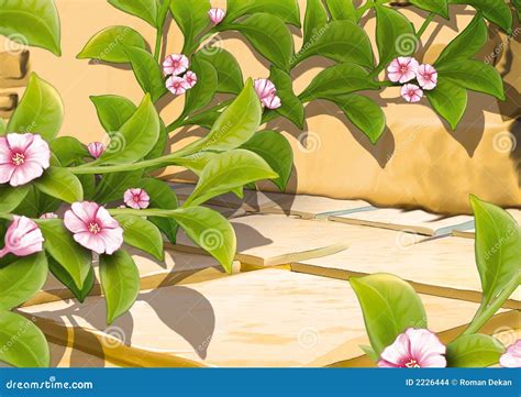 Creeping Plant With Flowers Stock Illustration - Illustration of ...