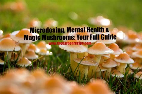 Microdosing Mental Health And Magic Mushroom Your Full Guide I The