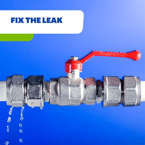 Why Do You Need a Water Leak Remediation Service
