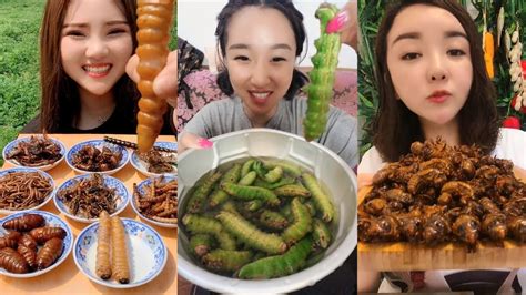 Eating Show 4 Girls Eat Insect Challenge虫を食べる곤충 먹는 여자 대회 หญิงสาว