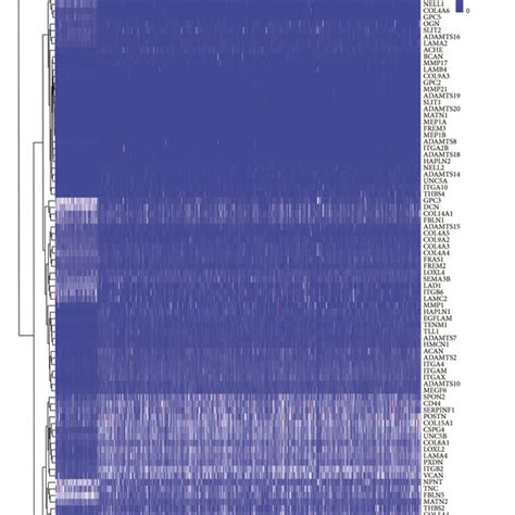 Identification Of The Candidate Bm Related Genes In The Tcga Cohort