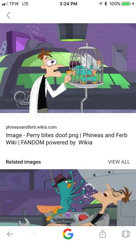 Pin By Justice Westlake On Phineas And Ferb In Phineas And Ferb