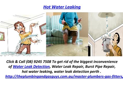 Hot Water Leaking By The Plumbing And Gas Guys Issuu