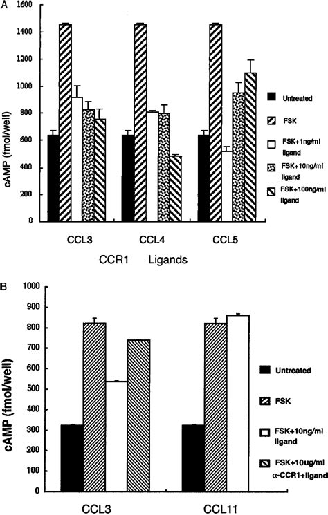 Potential Interaction Between Ccr1 And Its Ligand Ccl3 Induced By