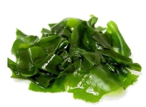 Recetas E Impresionantes Beneficios Del Alga Wakame Para La Salud