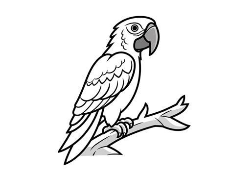 Incredible Macaw Coloring Coloring Page