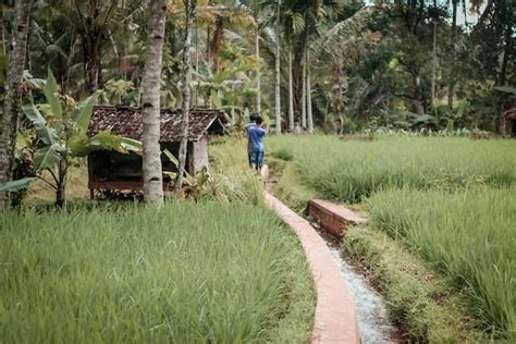 Asal Usul Desa Karanganyar Yang Menarik Diketahui Kumparan