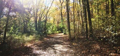 34 Beautiful Long Island Hiking Trails To Explore