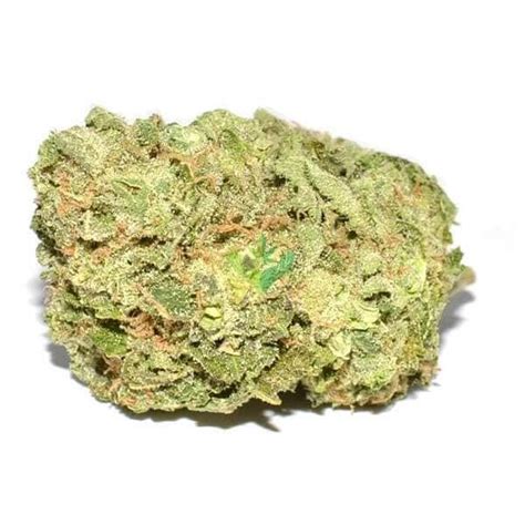 Island Sweet Skunk Strain Uk Buy Weed Online Uk Cannabis Pharm Uk