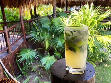drinks    inclusive resort
