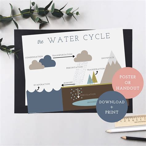 Water Cycle Printable Poster - Etsy