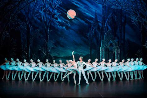 Ballet El Lago De Los Cisnes