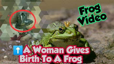 Watch Woman Giving Birth To A Frog Frog Video Youtube