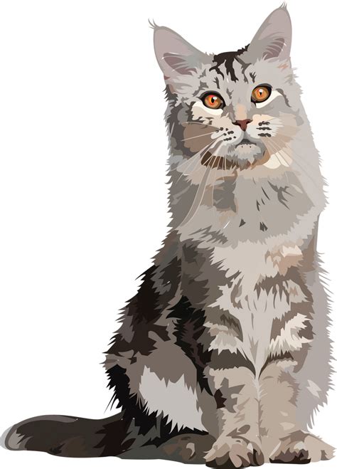 Cat Vector By Petecowled On Deviantart