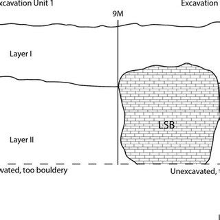 Mekosuchus kalpokasi holotype, left edentulous maxilla fragment (UF... | Download Scientific Diagram