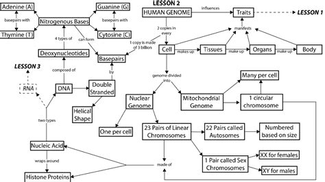 Macroevolution Concept Map