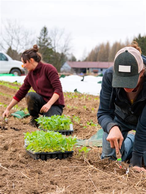 Top Innovative Ideas for Agriculture Projects for Students - CodeAvail