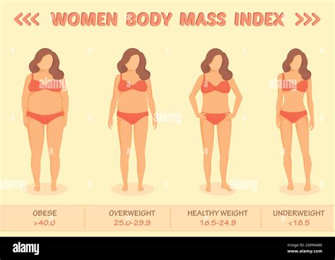 índice de masa corporal Imágenes vectoriales de stock Alamy