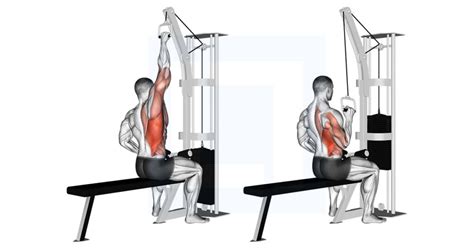 Cable Straight Back Seated Row Guide Benefits And Form