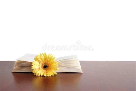 цветок книги стоковое фото. изображение насчитывающей культура - 576228