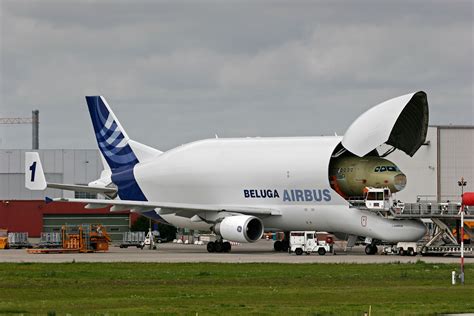 The Worlds Longest Airbus A Neo Routes