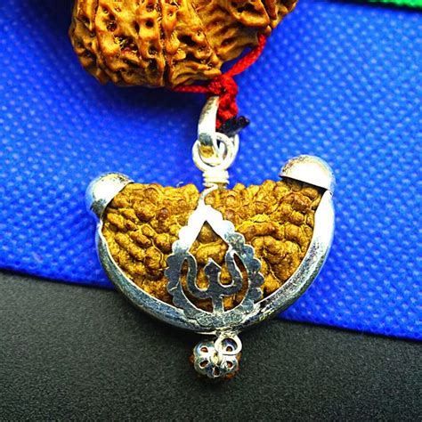 Siddha Mala Mukhi Rudraksha Mala Nepali