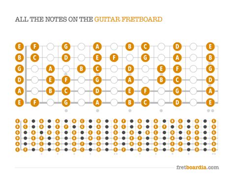 guitar fretboard notes  fretboardia