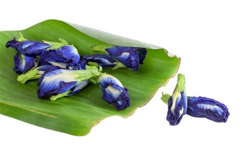 anchan png transparent images   vector files pngtree