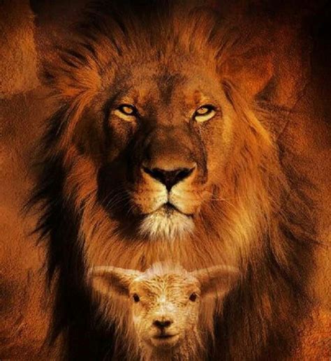 The Lion And The Lamb Lion And Lamb Lion Of Judah Lion