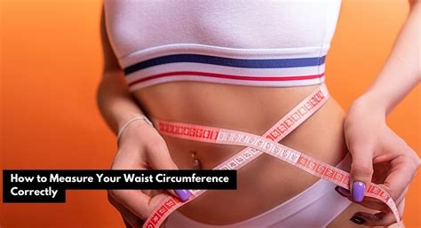 Average Waist Size And Circumference For Women And Men Guide 2023