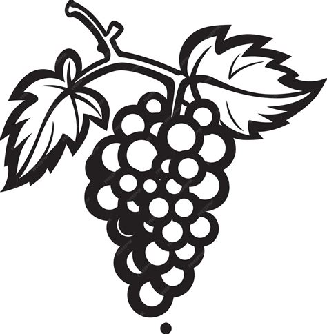 premium vector grapes  graphic design vector art inspiration